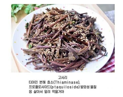 산나물 채취시 한국인을 믿어야하는 이유_1.jpg