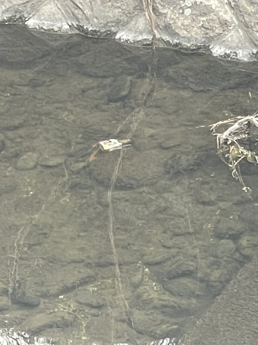 겨울철 강가에 가면.jpg_3.jpg