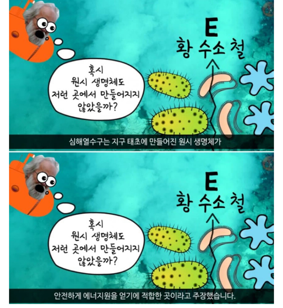 최초의 생명체는 어디서 왔을까??_1.jpg