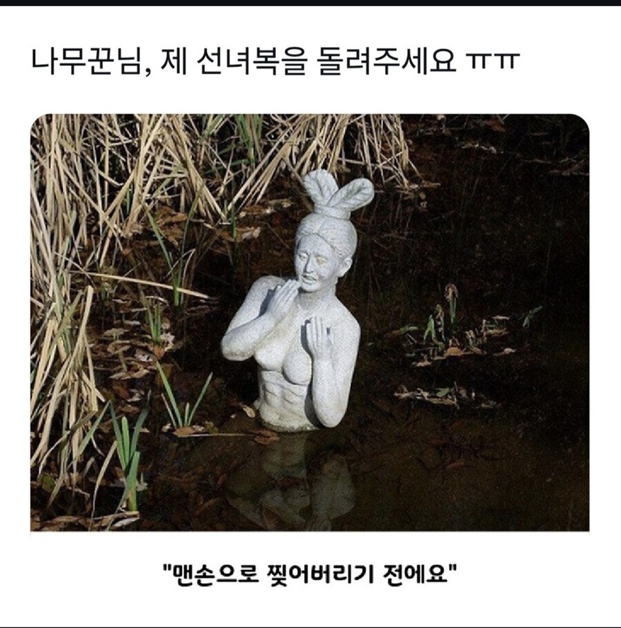 옷을 도둑맞은 선녀.jpg_1.jpg