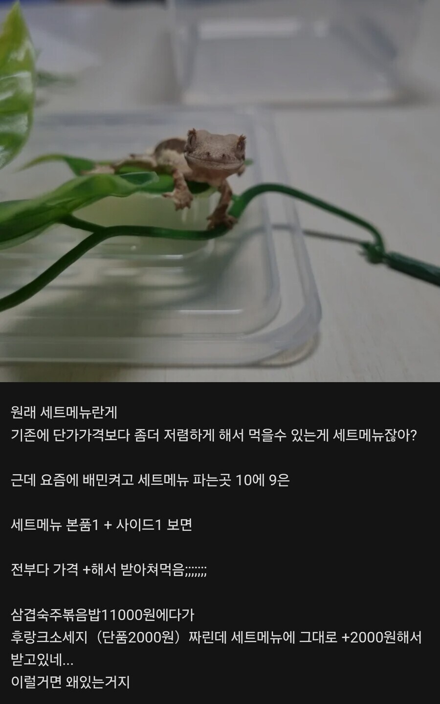 요즘 음식점에 세트메뉴라는 개념이 아예 바뀐거 같음_1.jpg