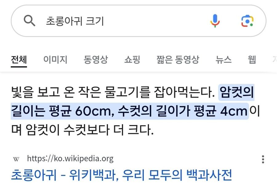 심해어 초롱아귀의 사랑법_3.jpg