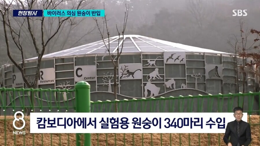 '치사율 70%' 바이러스 의심 원숭이 대거 반입_1.jpg