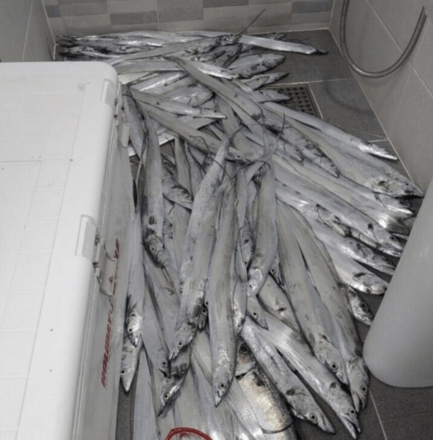 낚시가 이혼 사유 탑티어인 이유.jpg_3.png