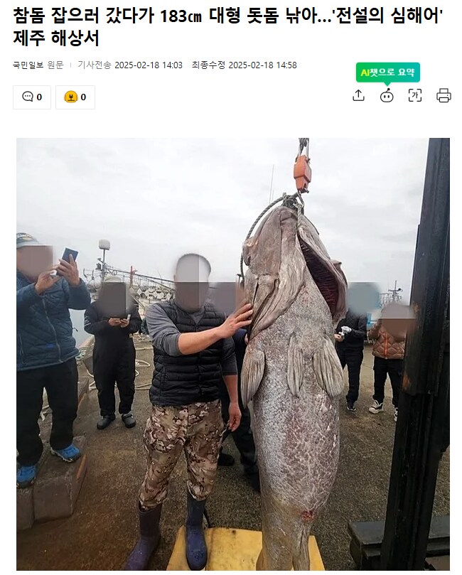 참돔 잡으러 갔다가 183㎝ 대형 돗돔 낚아…'전설의 심해어' 제주 해상서_1.png