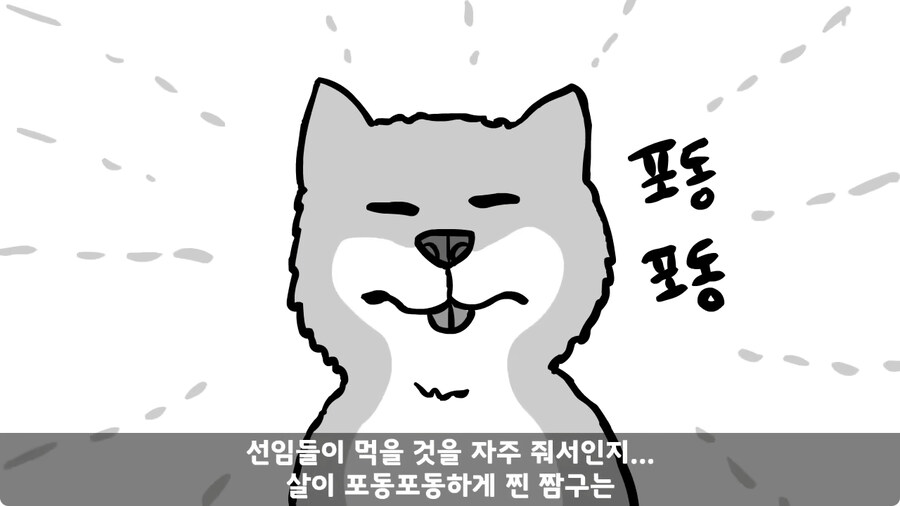 고라니 한 마리에게 해병대 1개 중대 전멸당한 썰.jpg_7.jpg