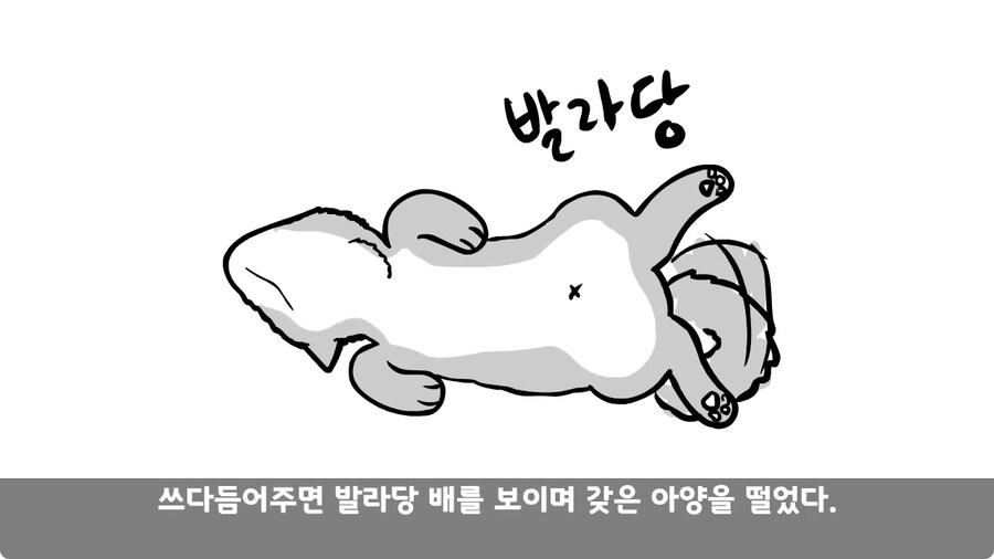 고라니 한 마리에게 해병대 1개 중대 전멸당한 썰.jpg_8.jpg