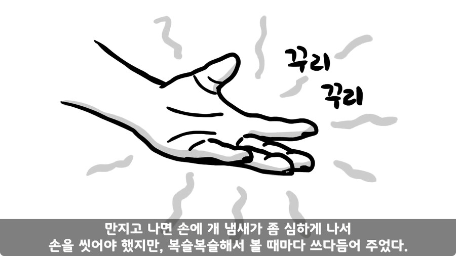 고라니 한 마리에게 해병대 1개 중대 전멸당한 썰.jpg_9.jpg