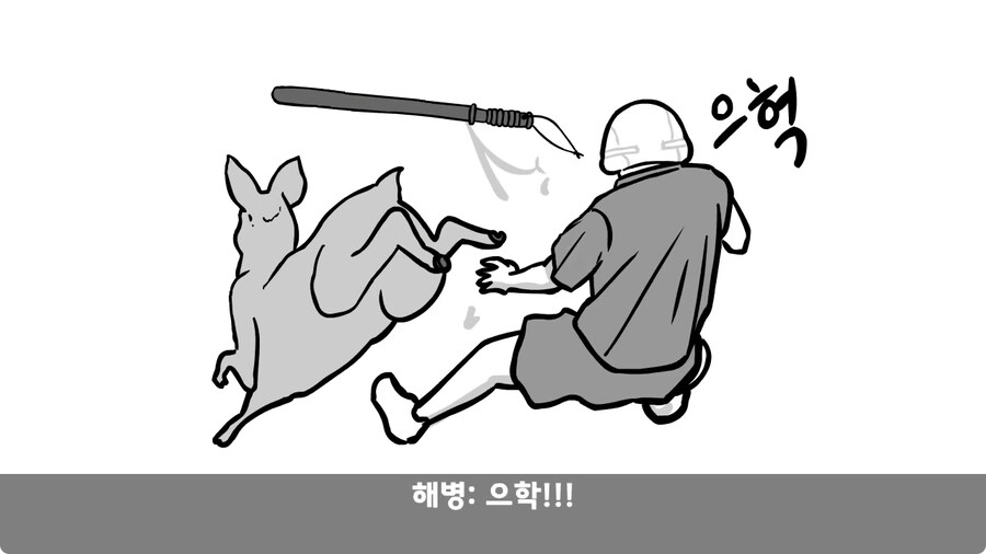고라니 한 마리에게 해병대 1개 중대 전멸당한 썰.jpg_64.jpg