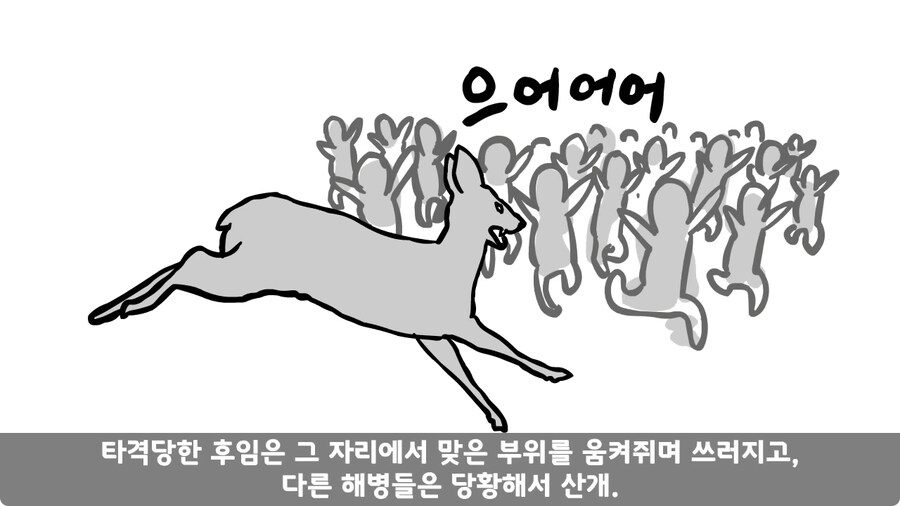 고라니 한 마리에게 해병대 1개 중대 전멸당한 썰.jpg_66.jpg