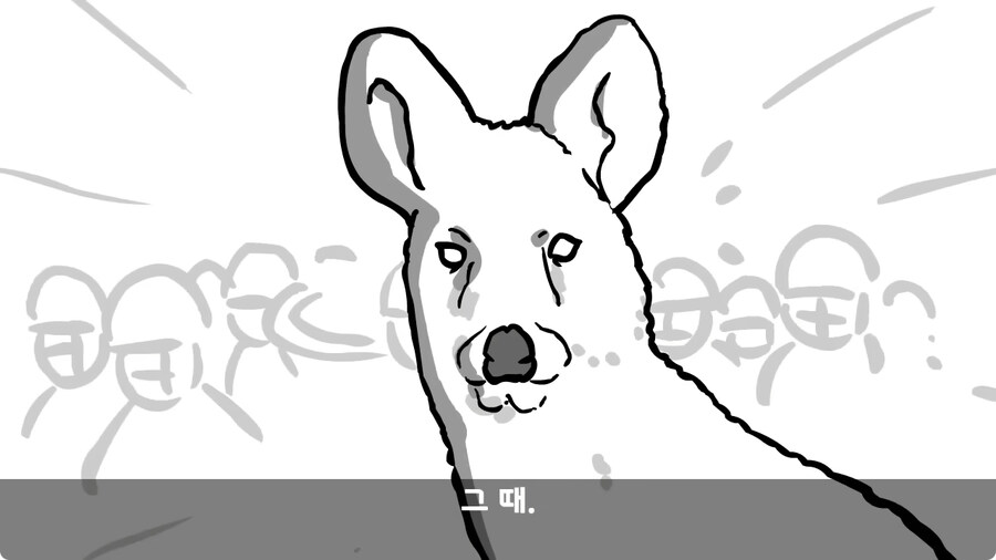 고라니 한 마리에게 해병대 1개 중대 전멸당한 썰.jpg_74.jpg