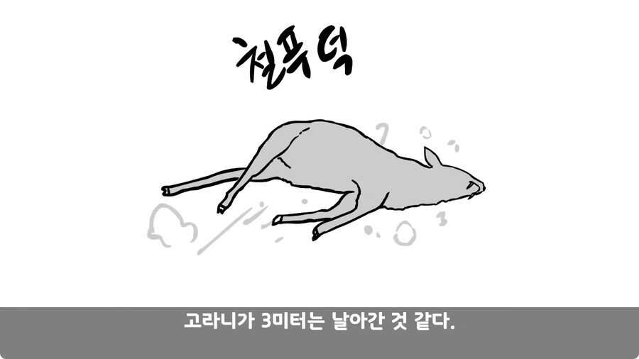 고라니 한 마리에게 해병대 1개 중대 전멸당한 썰.jpg_78.jpg
