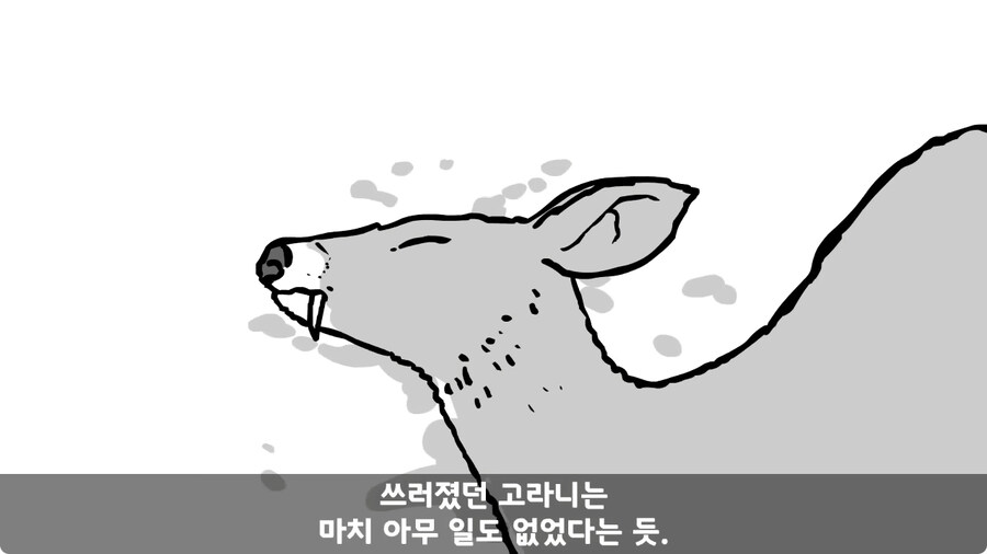 고라니 한 마리에게 해병대 1개 중대 전멸당한 썰.jpg_83.jpg
