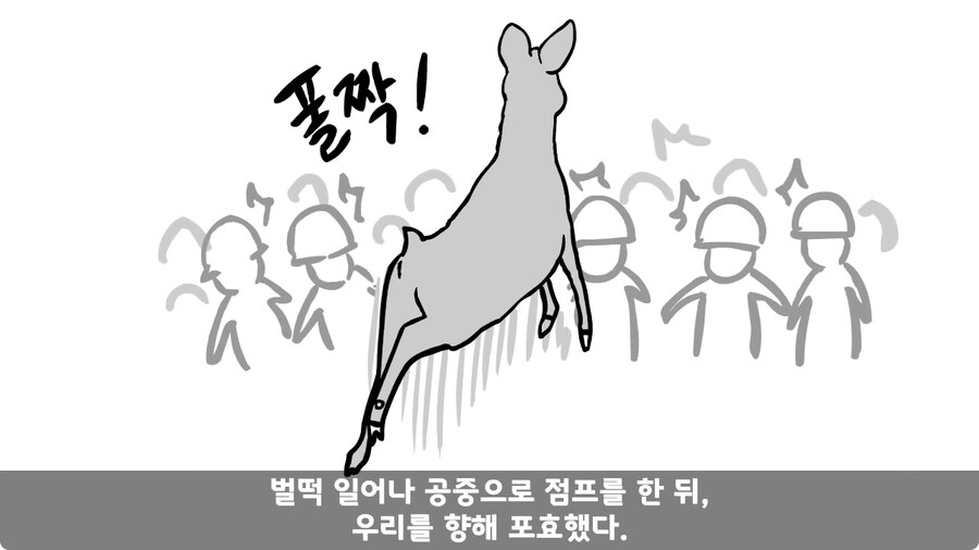 고라니 한 마리에게 해병대 1개 중대 전멸당한 썰.jpg_84.jpg