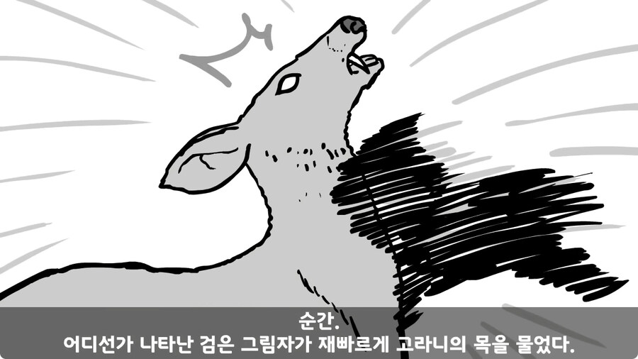 고라니 한 마리에게 해병대 1개 중대 전멸당한 썰.jpg_86.jpg