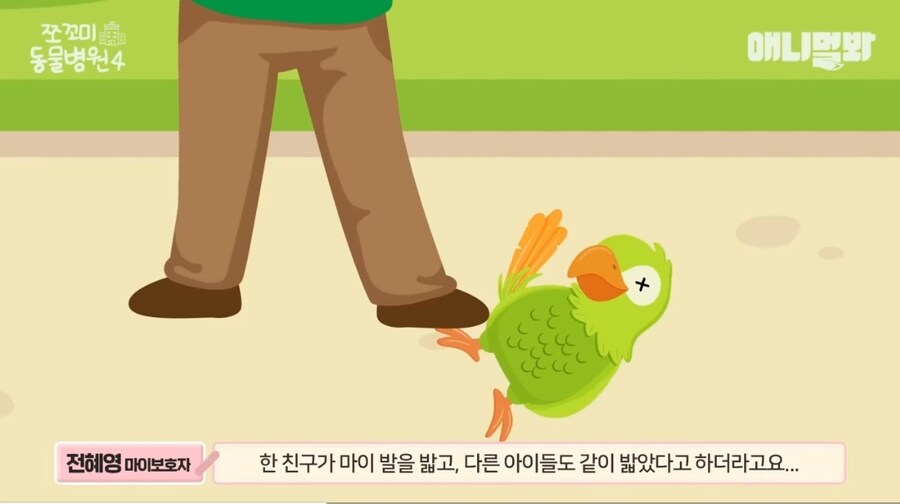 앵무새 다리 두동강 내버린 7살 아이들;;;_6.jpg