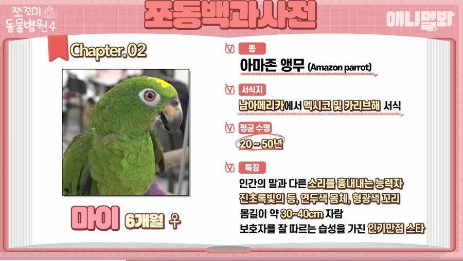 앵무새 다리 두동강 내버린 7살 아이들;;;_1.jpg