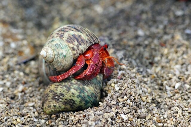 게쩌는 홍보를 한 부동산 회사.jpg_1.jpg