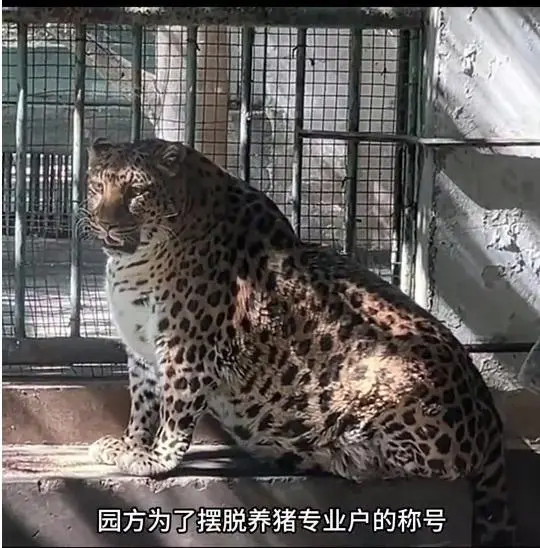 사료 민영화 동물원 대참사_1.webp