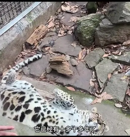 사료 민영화 동물원 대참사_2.webp