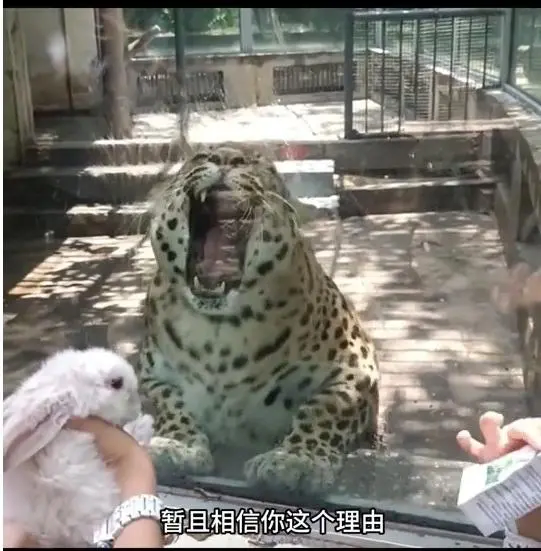 사료 민영화 동물원 대참사_3.webp