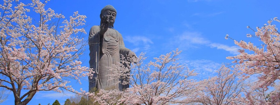 애니메이션 코인을 타고 싶은 어느 도시_1.jpg