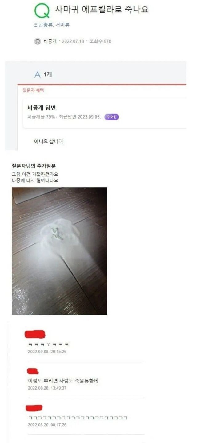 사마귀도 에프킬라로 죽나요 ?_1.jpg