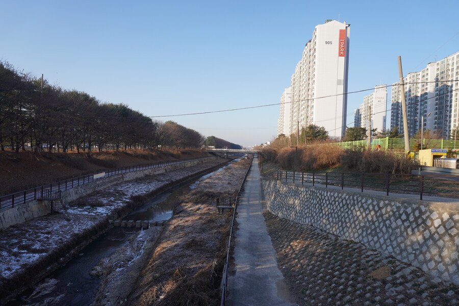 25년 첫 탐조_1.jpg