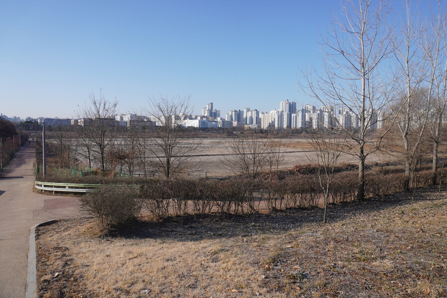 25년 첫 탐조_15.jpg