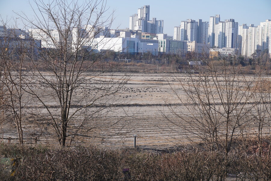 25년 첫 탐조_16.jpg