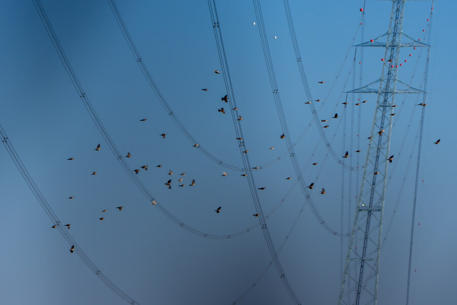 25년 첫 탐조_19.jpg