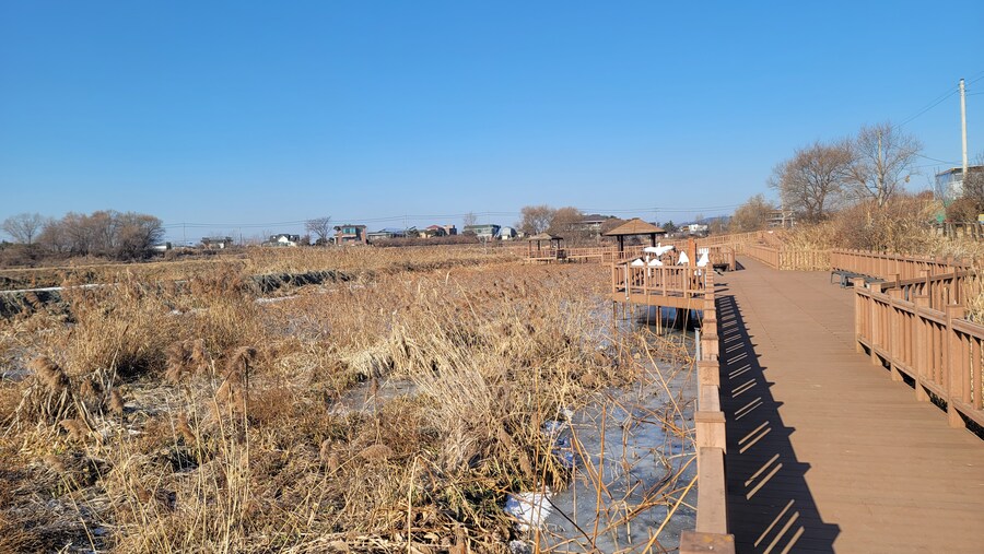 25년 첫 탐조_47.jpg