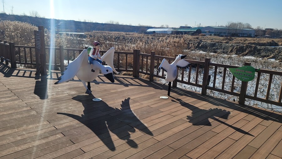 25년 첫 탐조_48.jpg