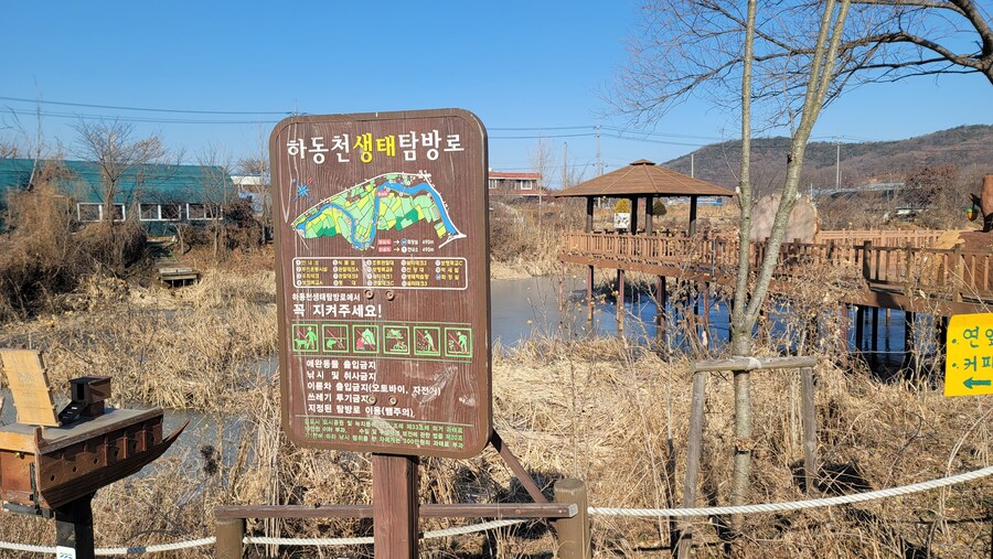 25년 첫 탐조_49.jpg