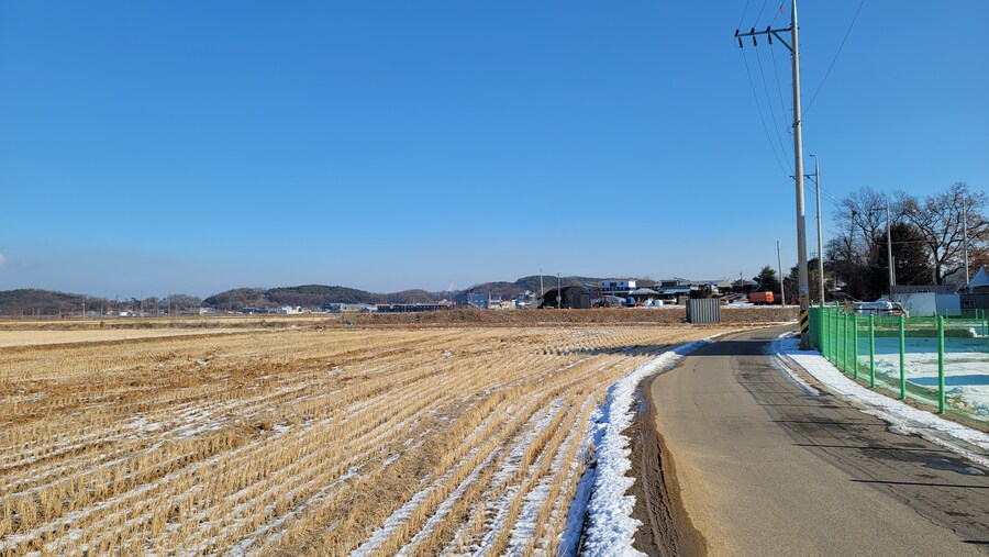 25년 첫 탐조_52.jpg