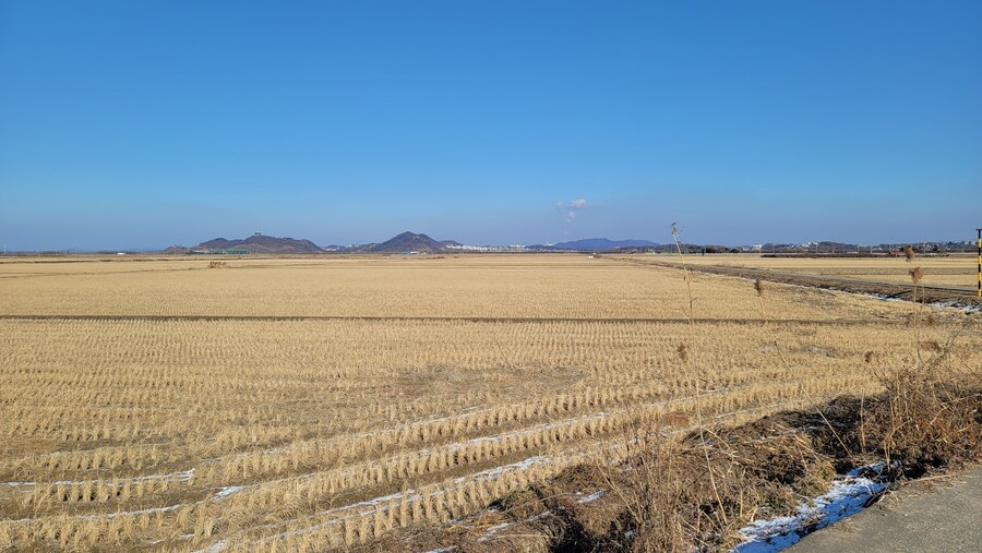 25년 첫 탐조_56.jpg