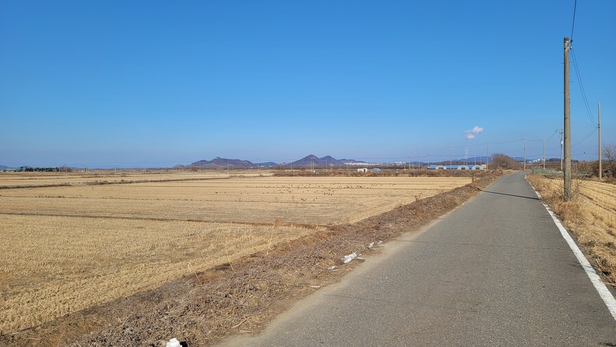 25년 첫 탐조_57.jpg