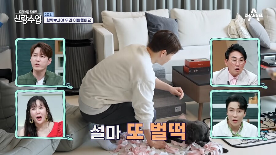 유튜브) 아무리 심형탁형님이라도 이건 너무한게 맞음 ㅋㅋㅋㅋ_64.png