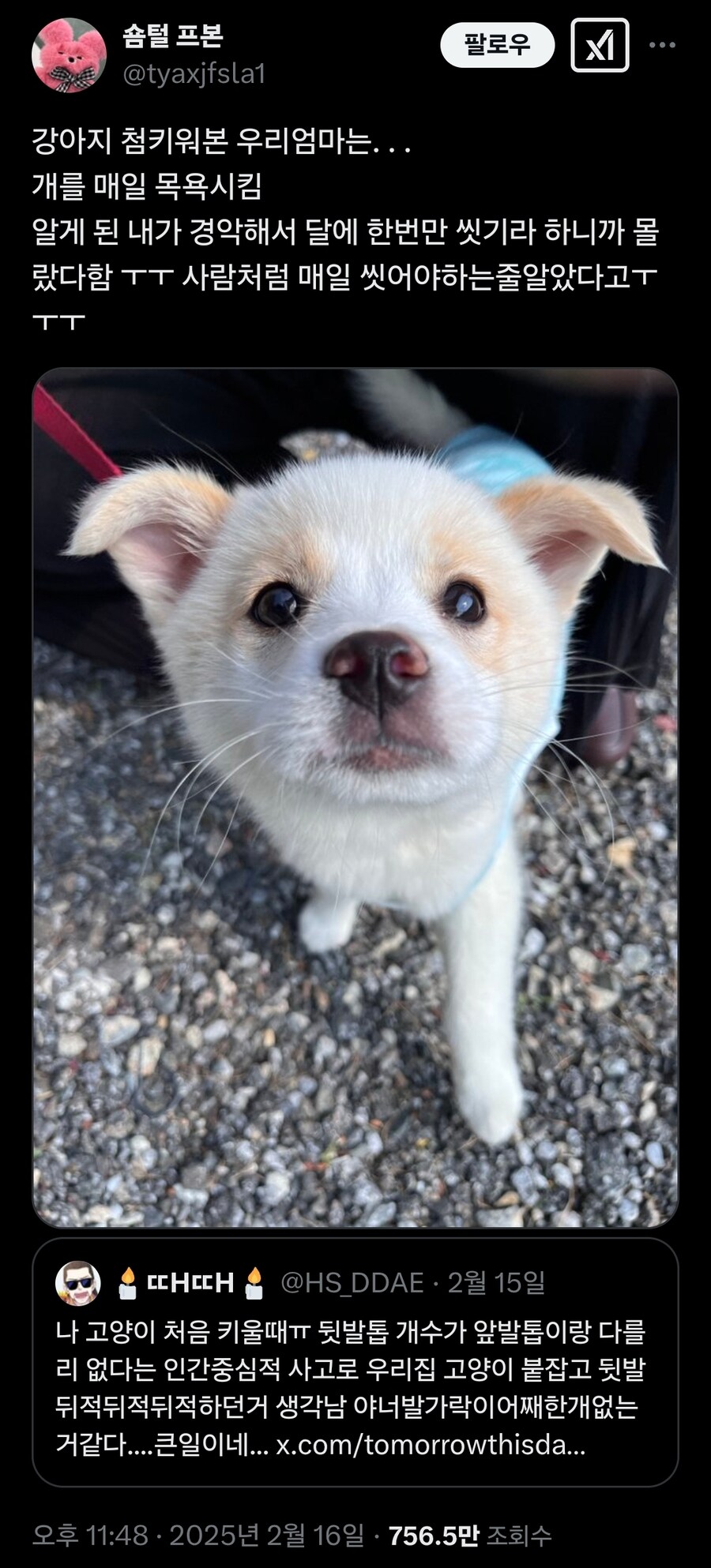 강아지 처음 키워본 엄마가 매일 목욕시킴.x_1.jpg