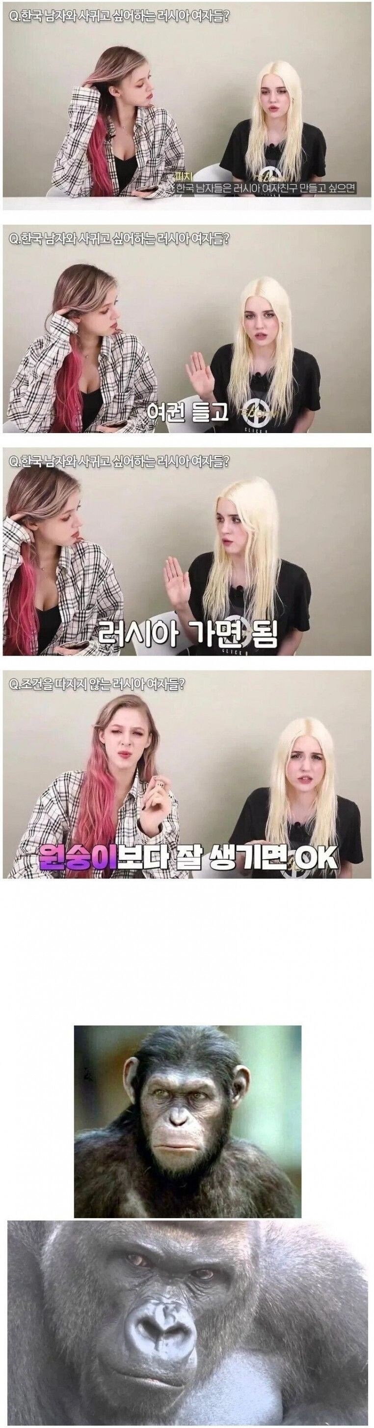 ? : 원숭이보다 잘 생기면 사겨드림_1.jpg