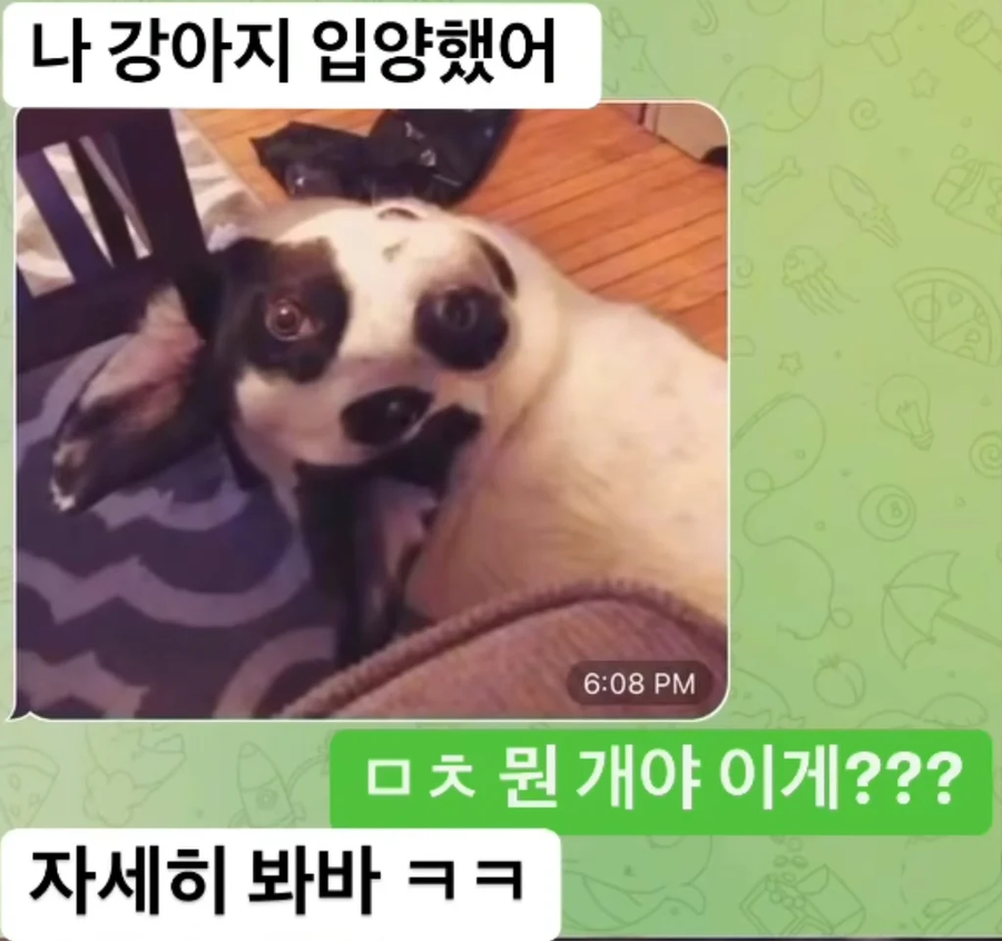 기괴한 강아지를 입양한 친구.JPG_1.webp