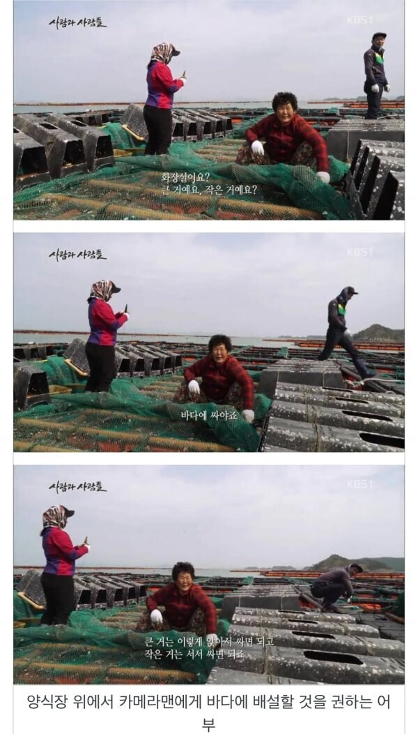 과거 굴 노로바이러스로 깔때마다 올라오던 양식장 짤의 진실.jpg_1.png