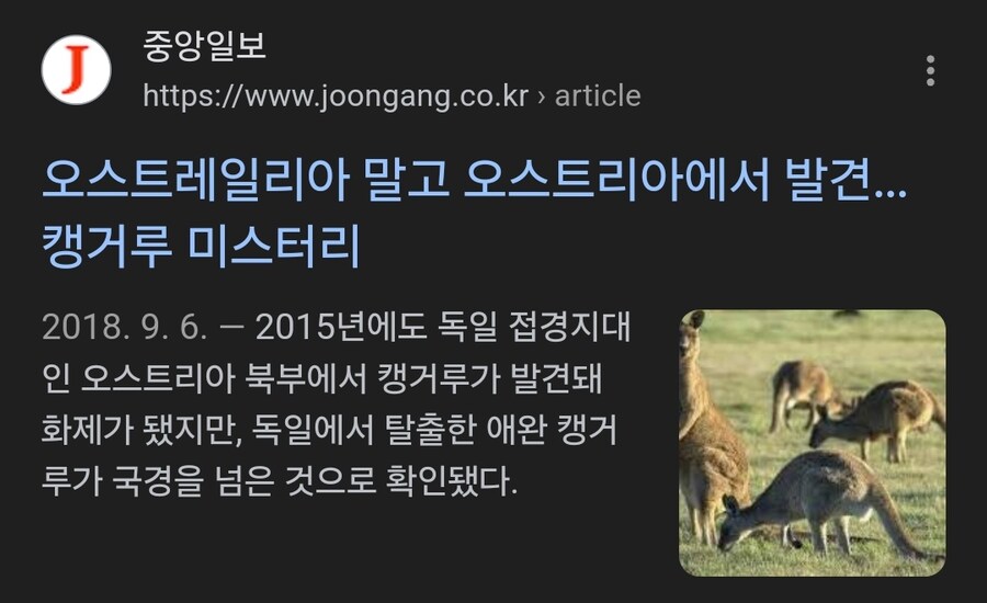 의외로 오스트리아 공항에만 존재하는 것_3.jpg