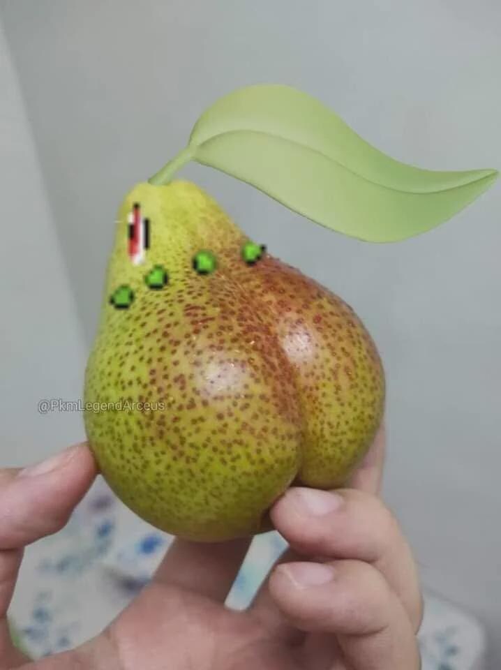 외국에서 올린 포켓몬 2세데 스타터 ㅋㅋㅋ_2.jpg