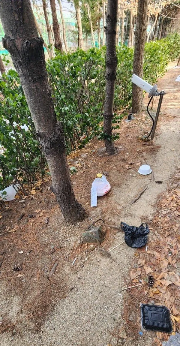 대부분의 범죄들은 지능과 정신이 온전치 못해서 발생한다_1.webp