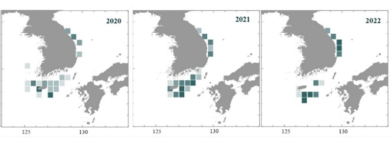 동해안 근황.jpg_4.png