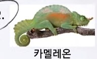 용과같이8 외전 오우나바라 정답_26.png
