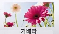 용과같이8 외전 오우나바라 정답_27.png