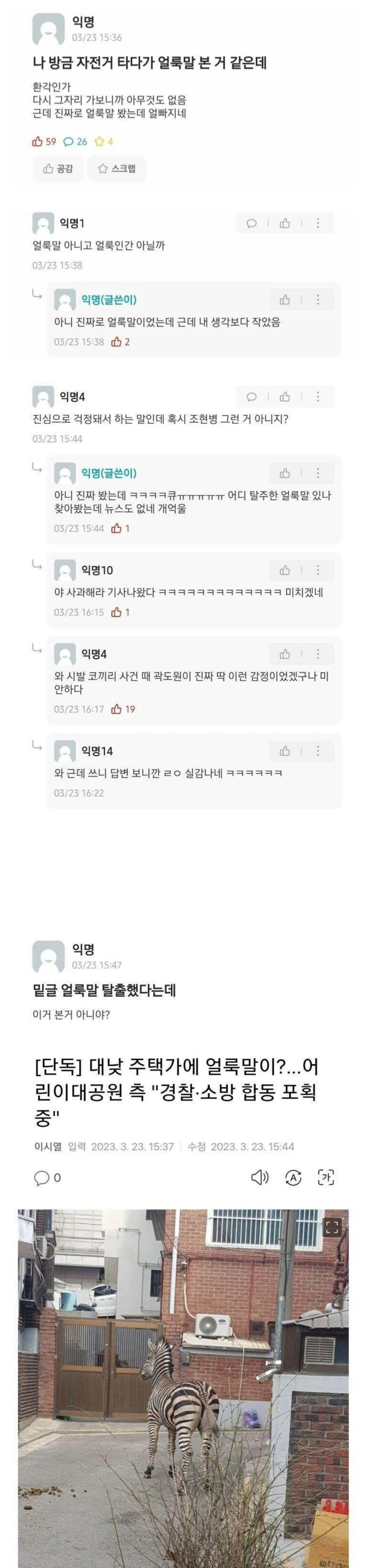 서울에서 얼룩말보고 조현병 의심받은 억울한 대학생_1.jpg