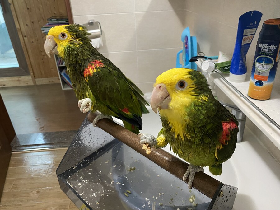 샤워 후 먹는 호두가 제맛이지~_1.jpg